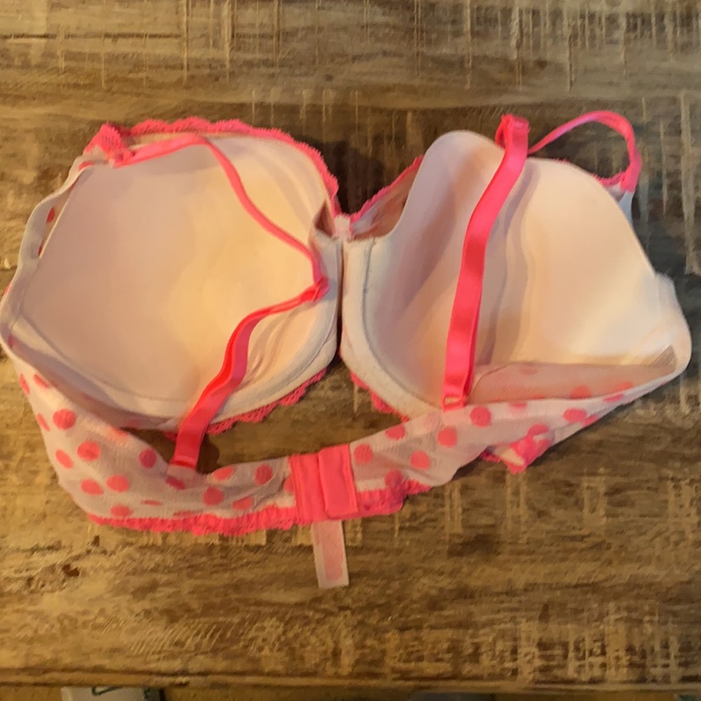 Euc Vs Bra - image 2